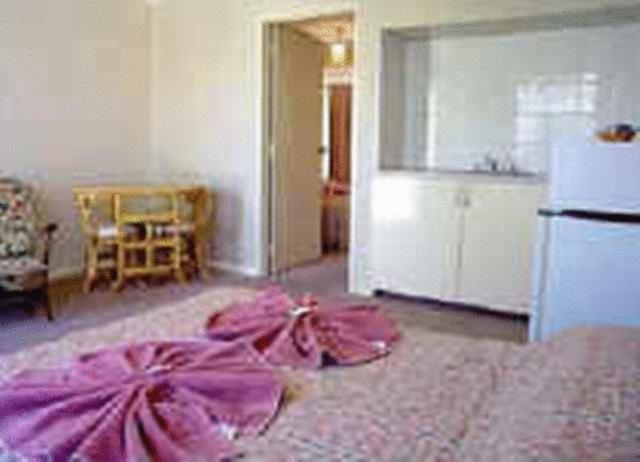 אליס ספרינגס White Gum Motel חדר תמונה